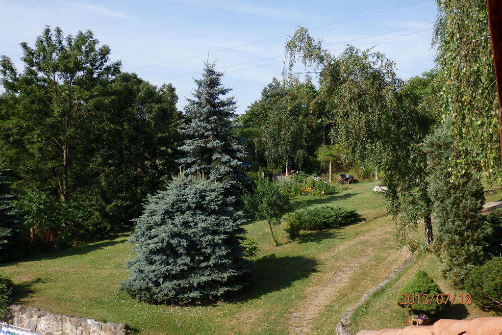Villa Blanka Horní Podkozí 외부 사진