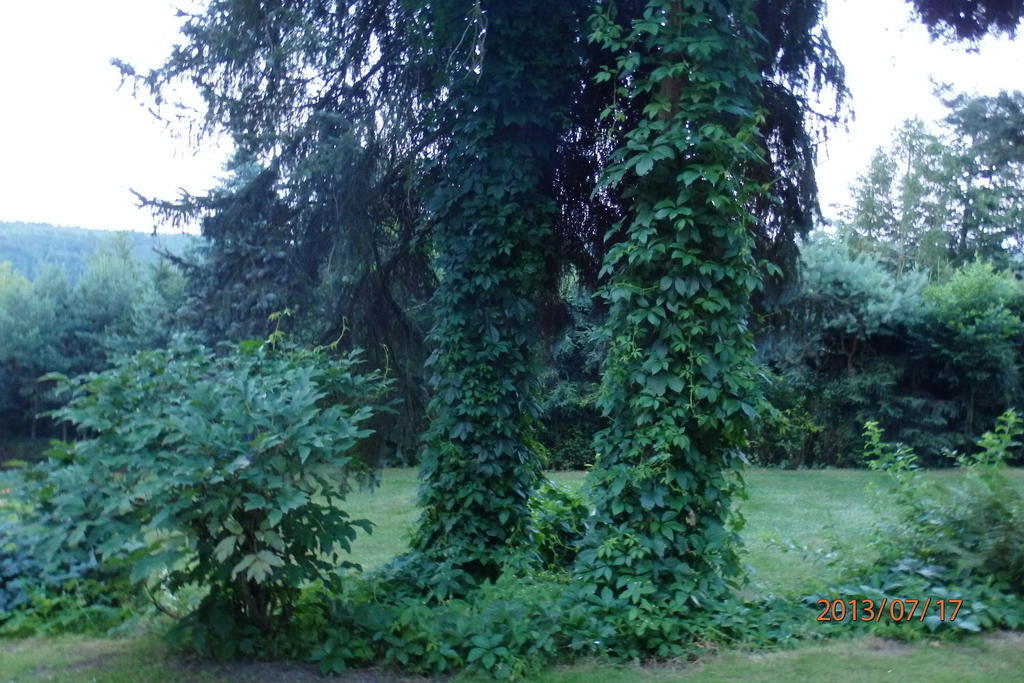 Villa Blanka Horní Podkozí 외부 사진