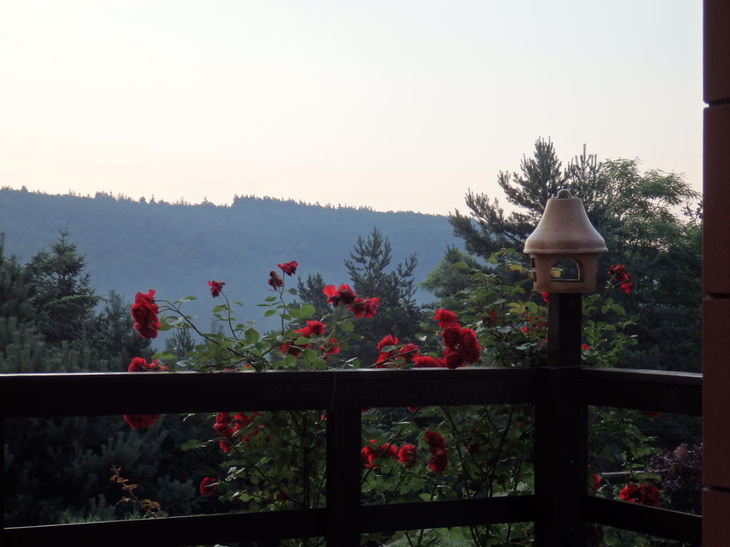Villa Blanka Horní Podkozí 외부 사진