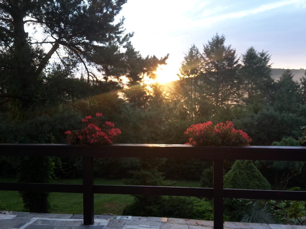 Villa Blanka Horní Podkozí 외부 사진