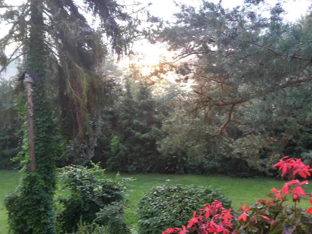 Villa Blanka Horní Podkozí 외부 사진