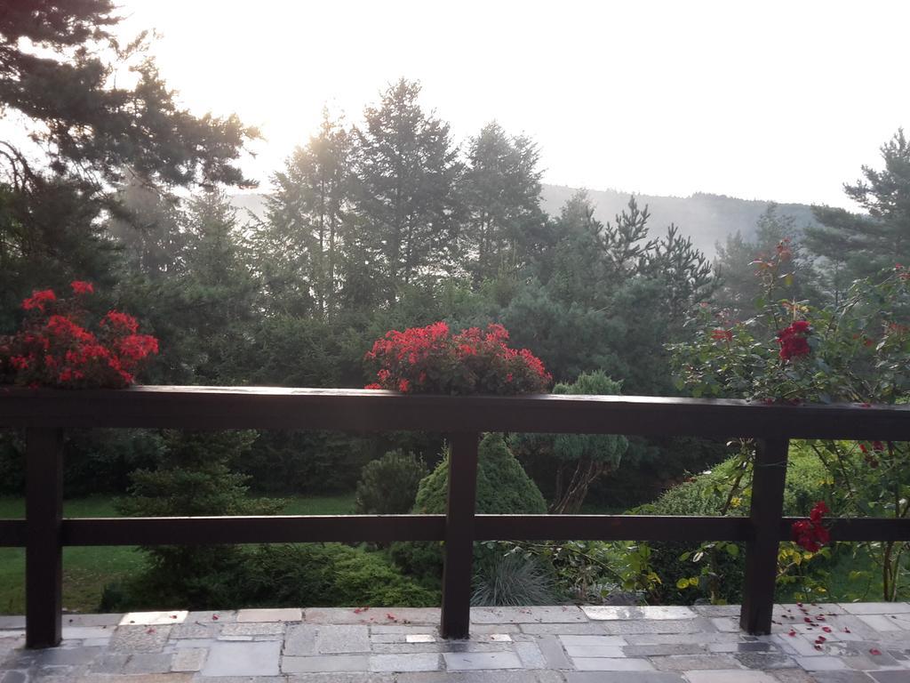 Villa Blanka Horní Podkozí 외부 사진