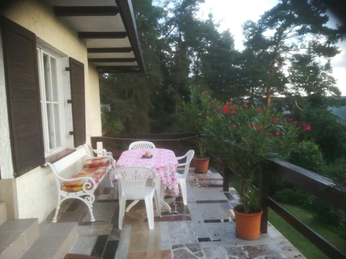 Villa Blanka Horní Podkozí 외부 사진